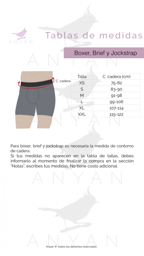 Boxer - Imagen 3